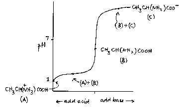 wpe5.jpg (7993 bytes)