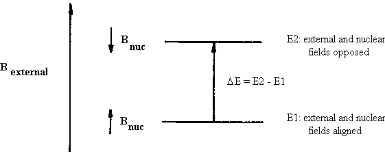 nmr_3.gif (3269 bytes)